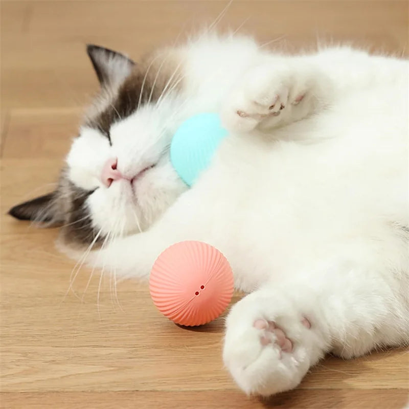 SMART DOG TOY BALL