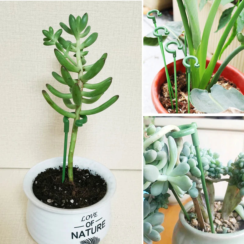 Plastic Plant Supports Flower