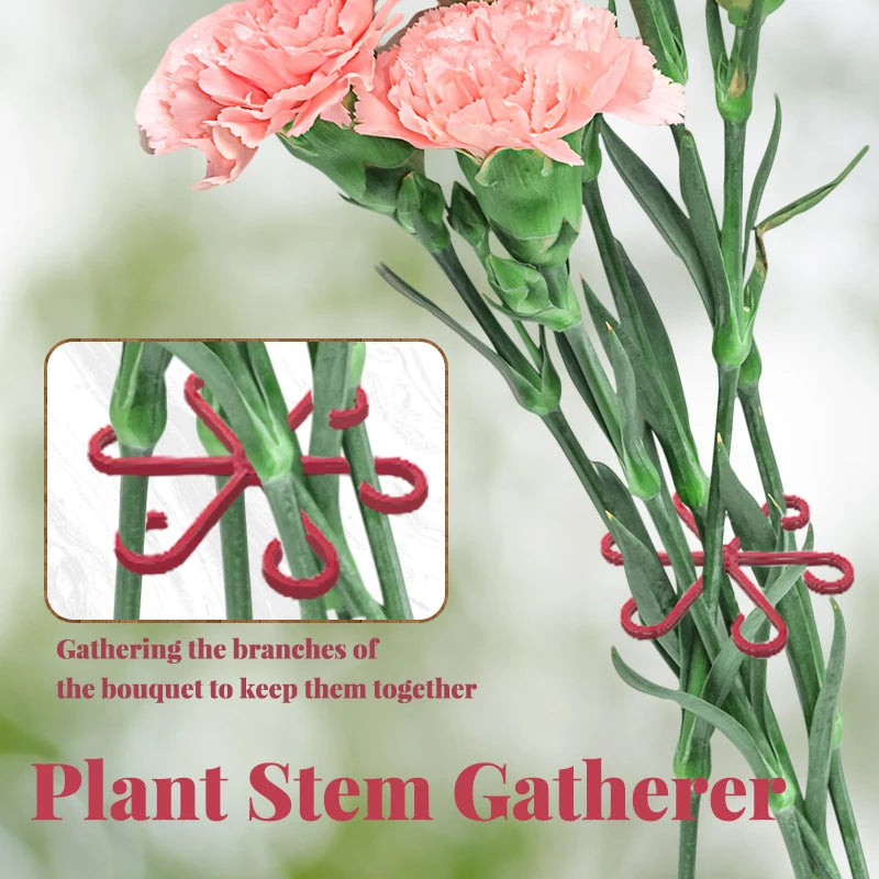 Reusable Plant Stem Folding Frame