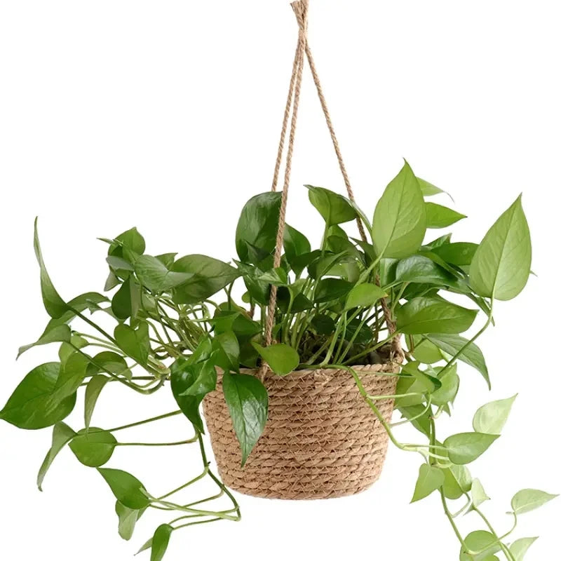 Garden Hanging Planter