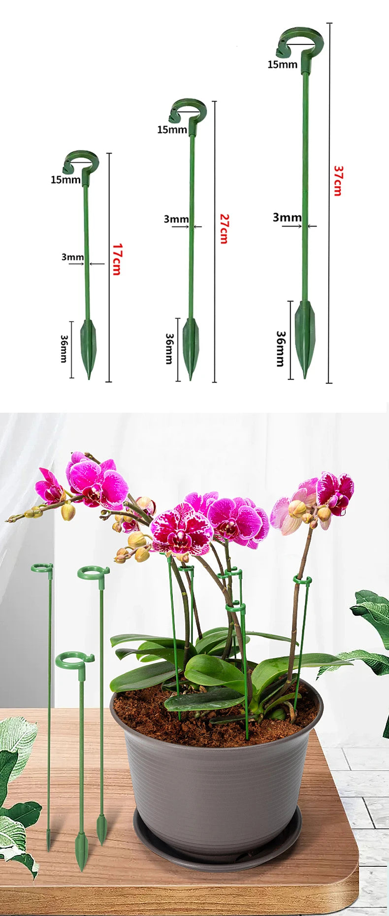 Plastic Plant Supports Flower