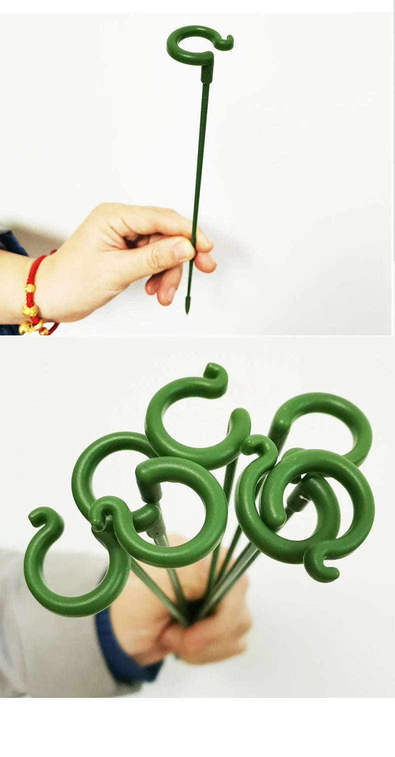 Plastic Plant Supports Flower