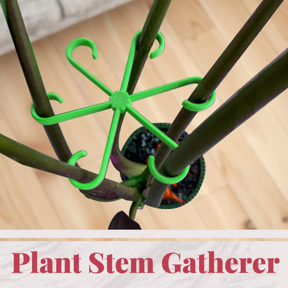 Reusable Plant Stem Folding Frame