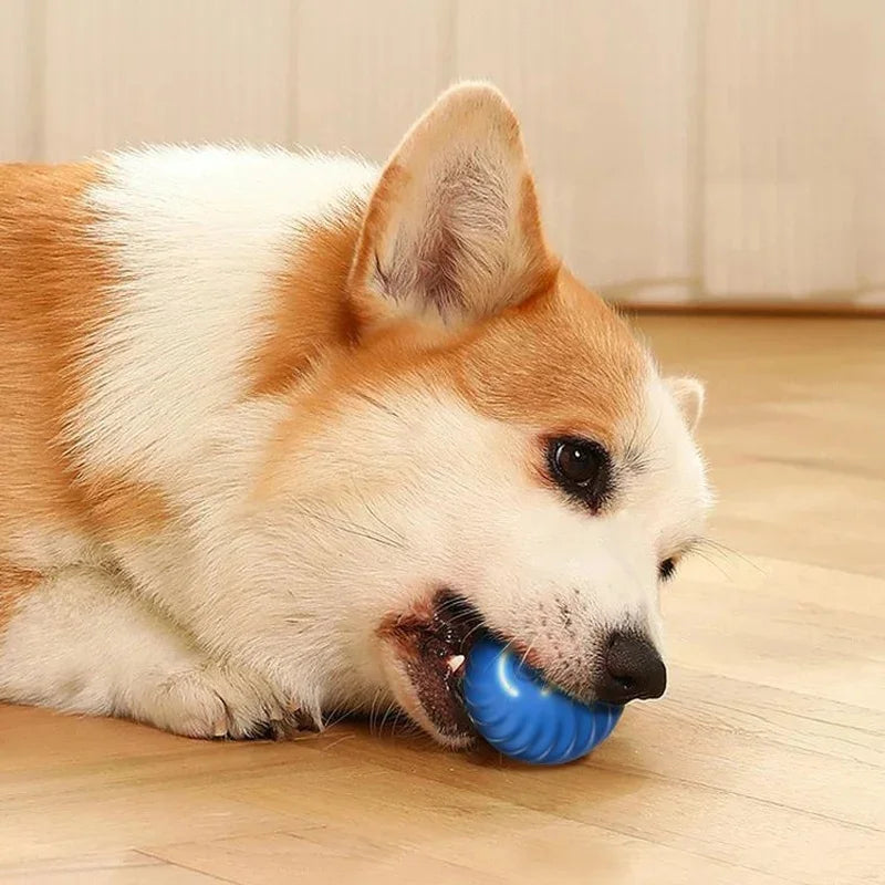 SMART DOG TOY BALL