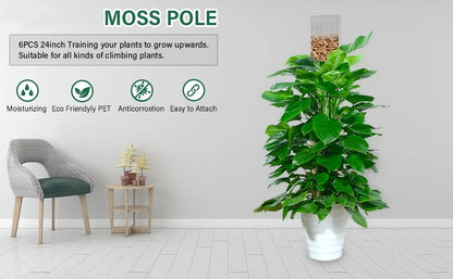 Moss Pole Plastic Plant Stand Indoor