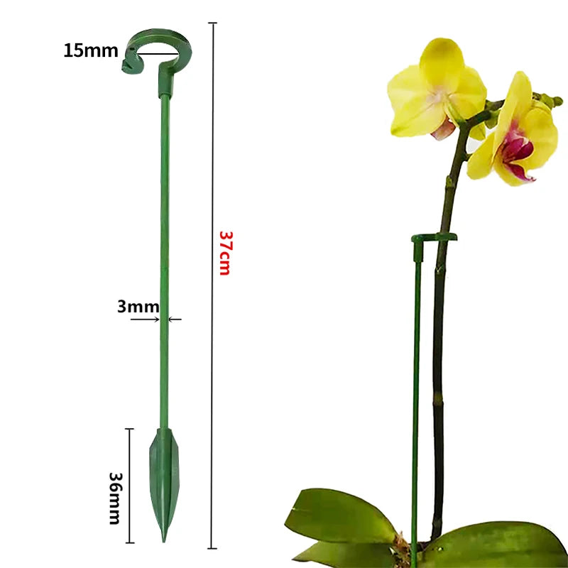 Plastic Plant Supports Flower