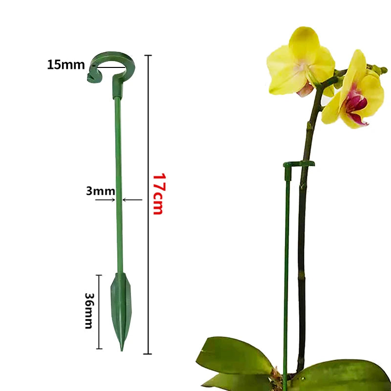 Plastic Plant Supports Flower