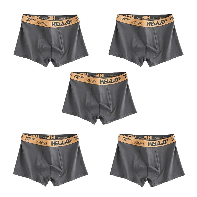 Men's Underwear, Breathable Comfy Quick Drying