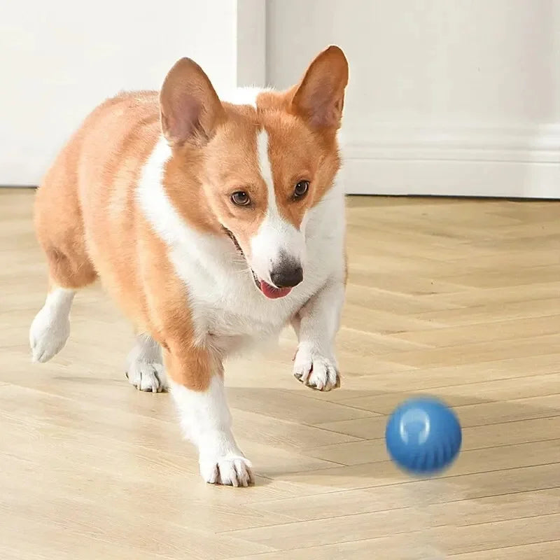 SMART DOG TOY BALL