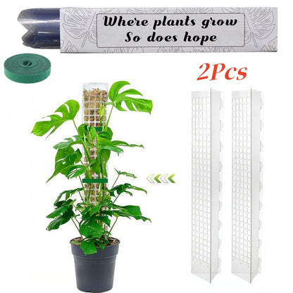 Moss Pole Plastic Plant Stand Indoor