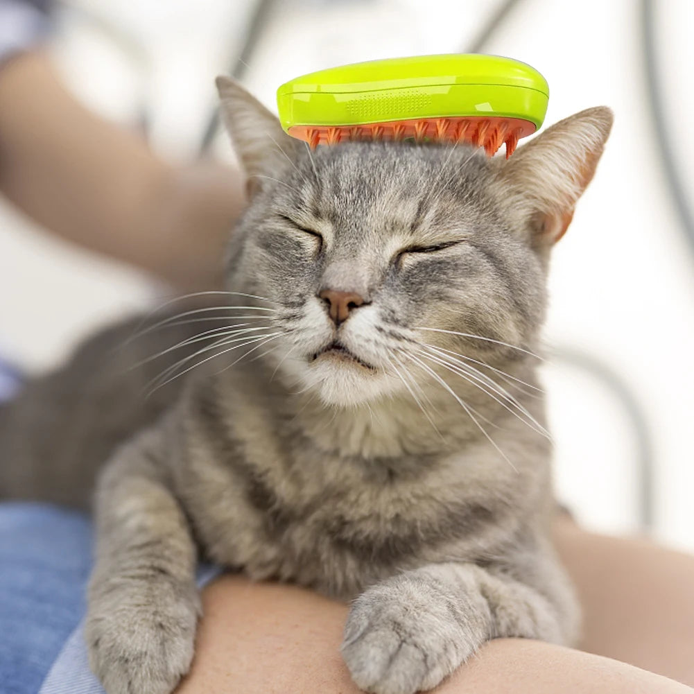 Cat Brush for Massage