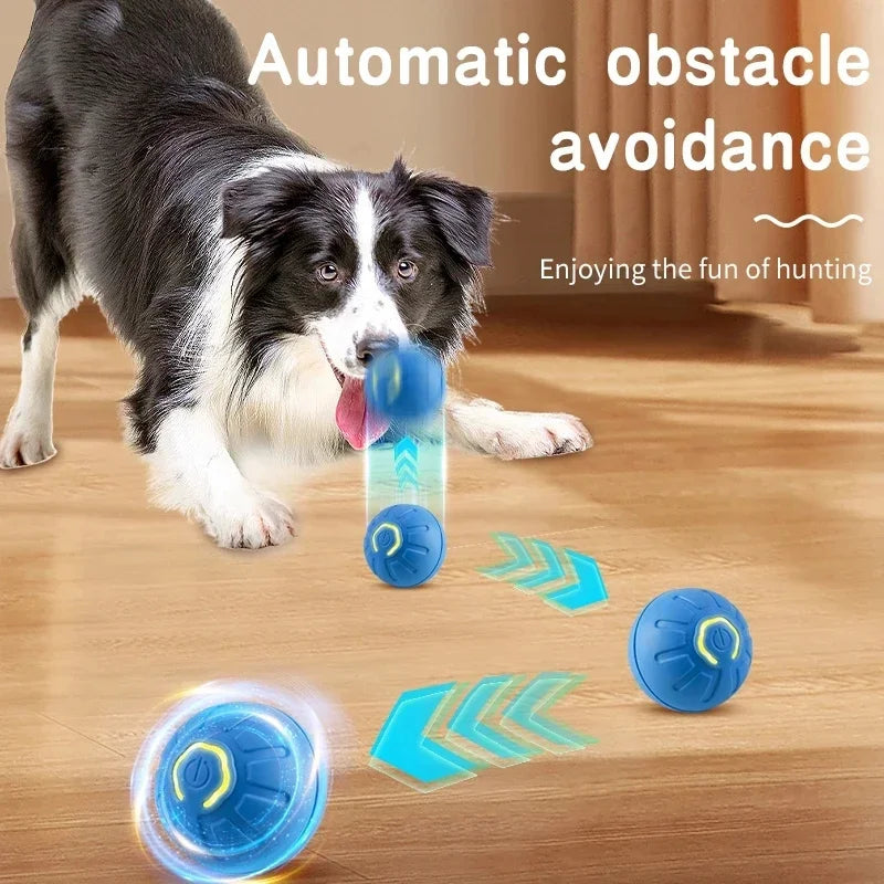 SMART DOG TOY BALL