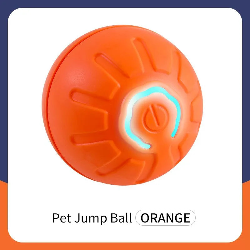 SMART DOG TOY BALL