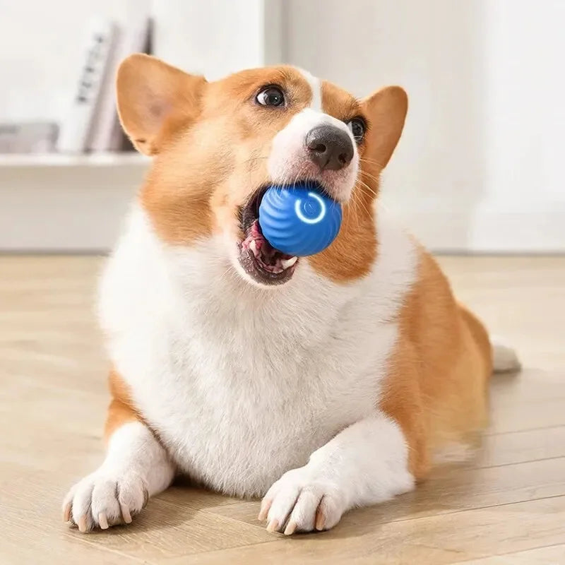 SMART DOG TOY BALL