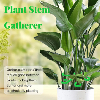 Reusable Plant Stem Folding Frame