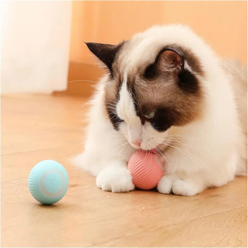 SMART DOG TOY BALL