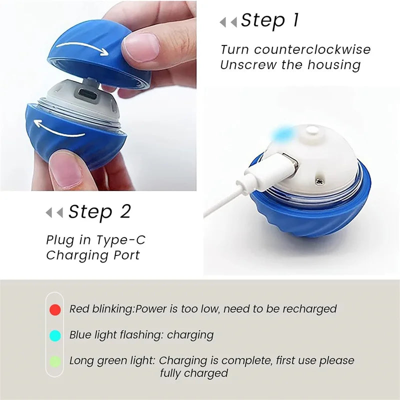 SMART DOG TOY BALL