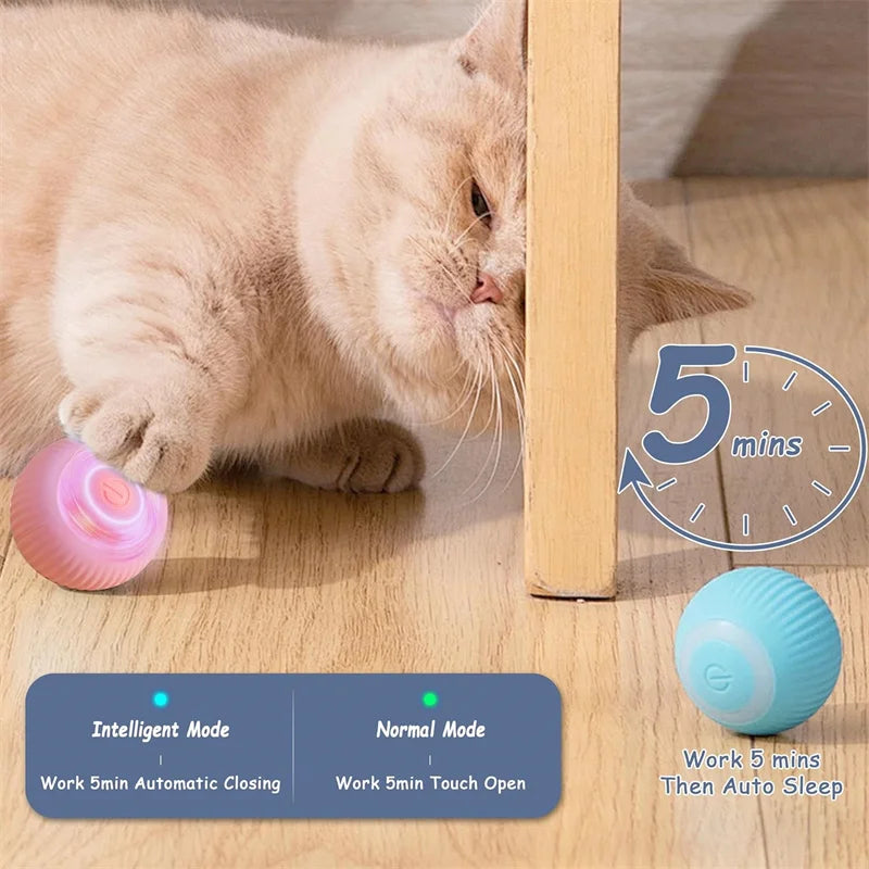 SMART DOG TOY BALL