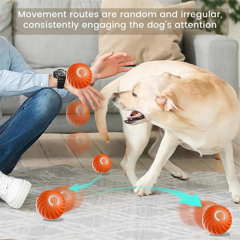 SMART DOG TOY BALL