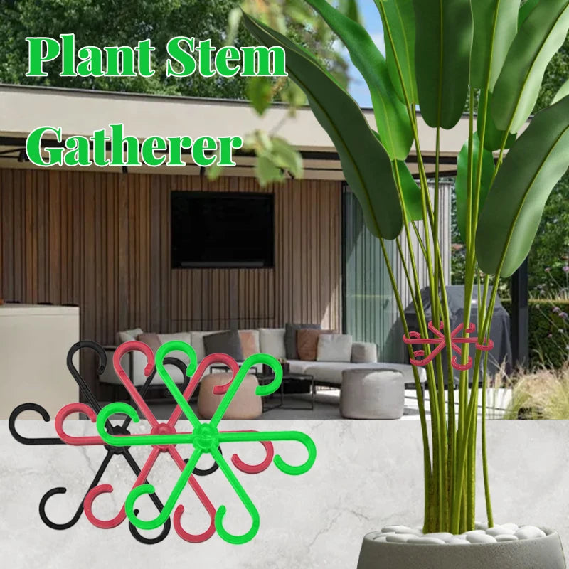 Reusable Plant Stem Folding Frame